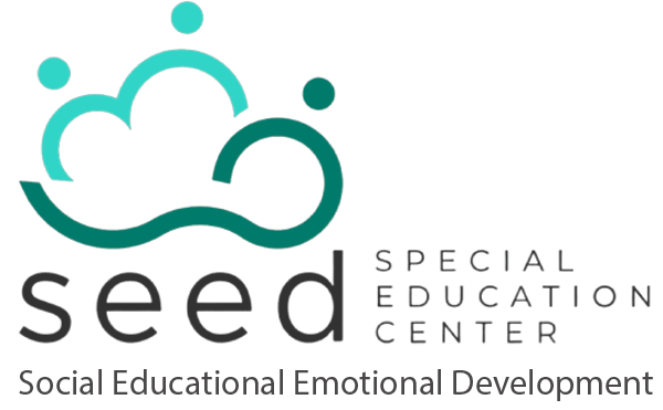 Social Educational Emotional Development